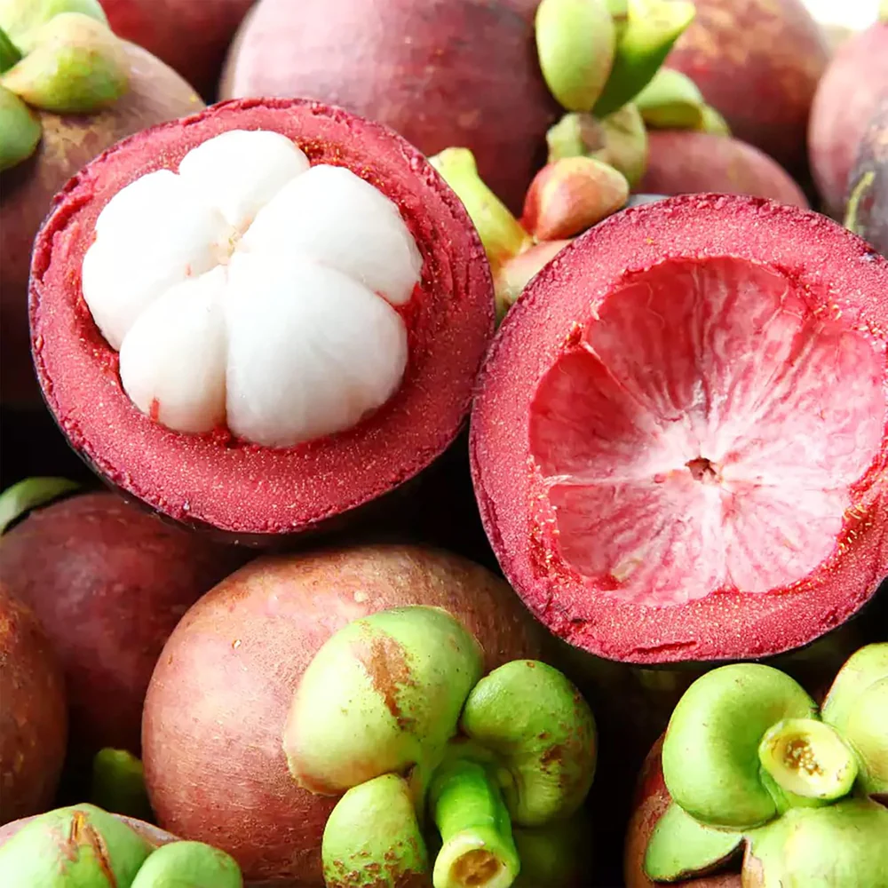 Mangosteen: The Queen of Tropical Fruits