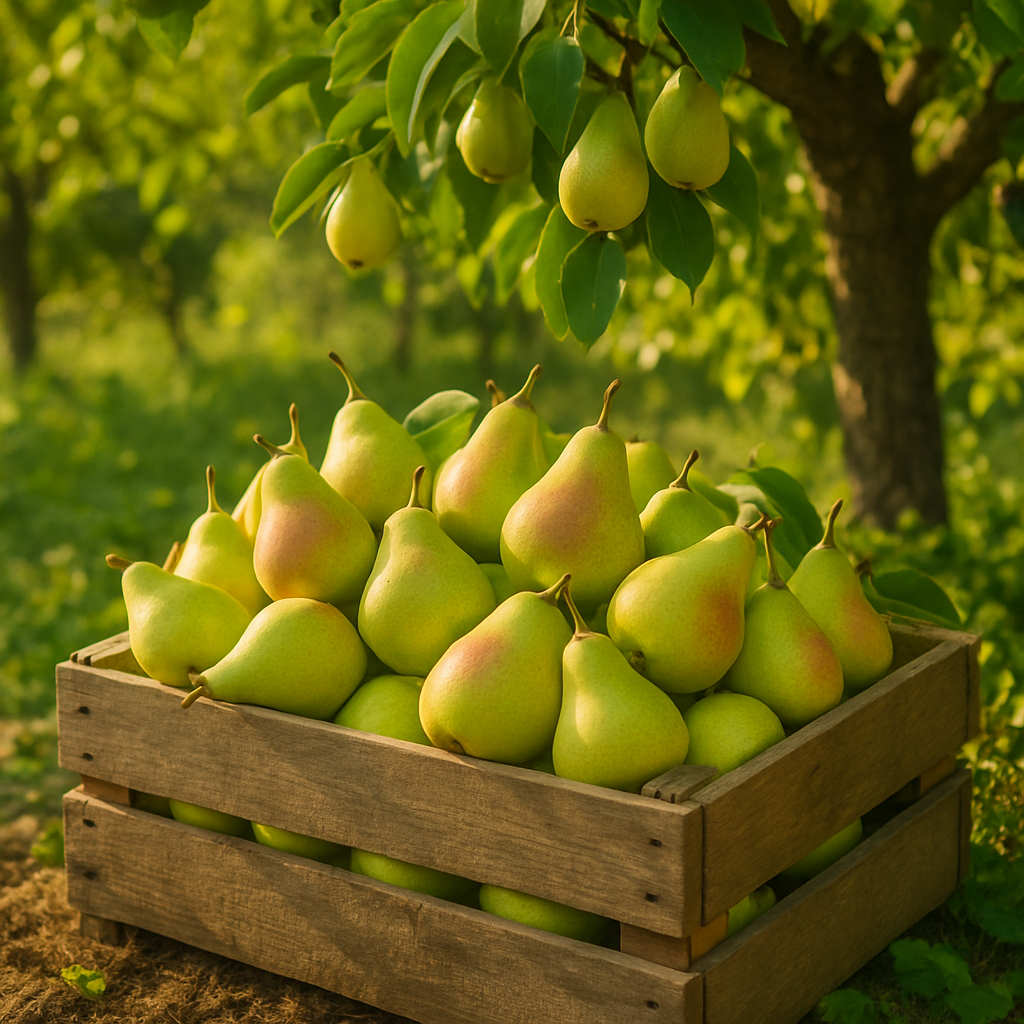 Grow Bartlett Pears: Sweet, Juicy Harvests from Your Garden