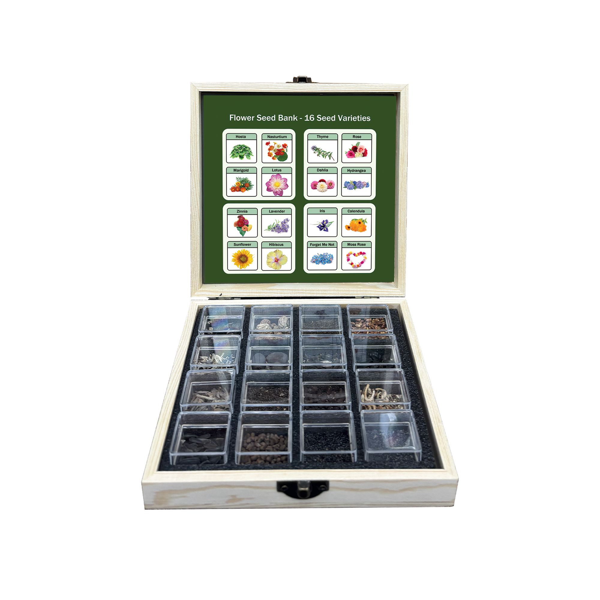 Banco de Semillas de Flores Todo en Uno - 16 Variedades de Semillas