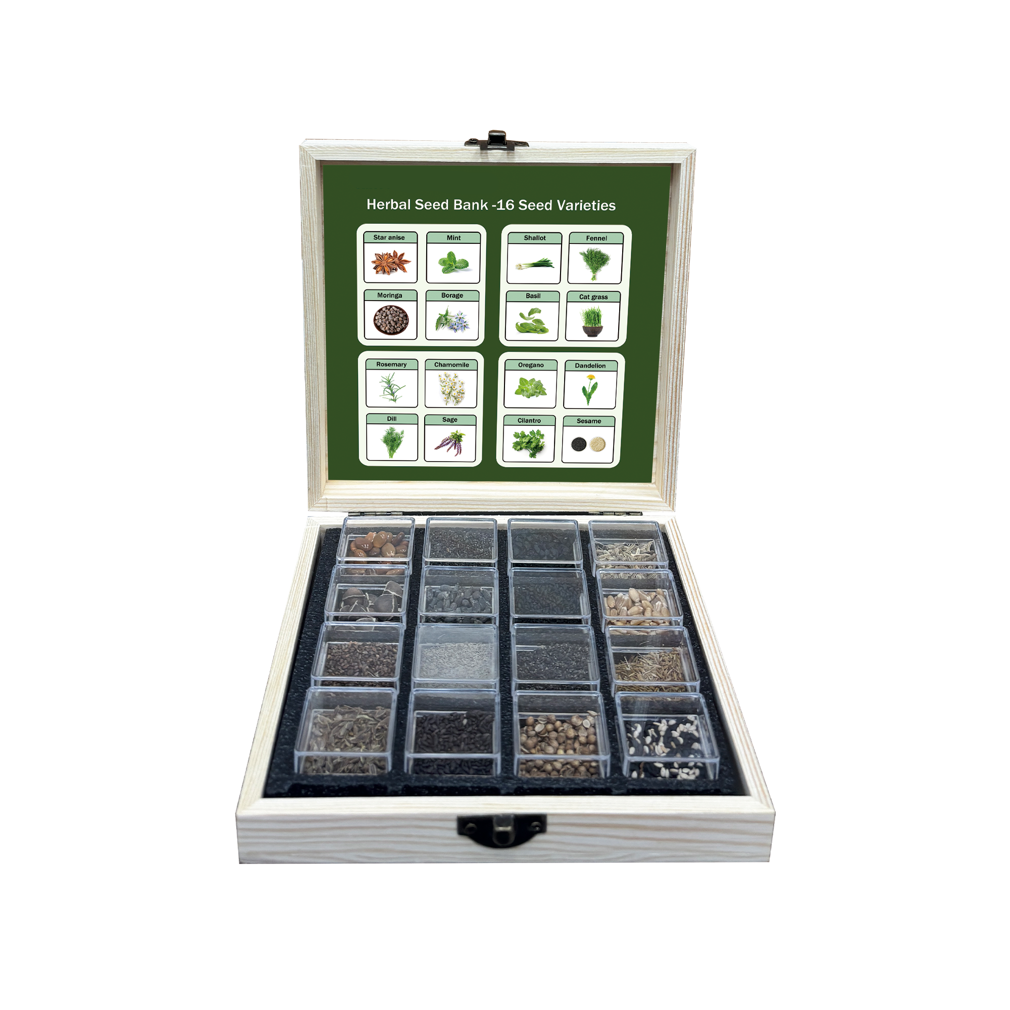 Banco de Semillas de Hierbas Todo en Uno - 16 Variedades de Semillas
