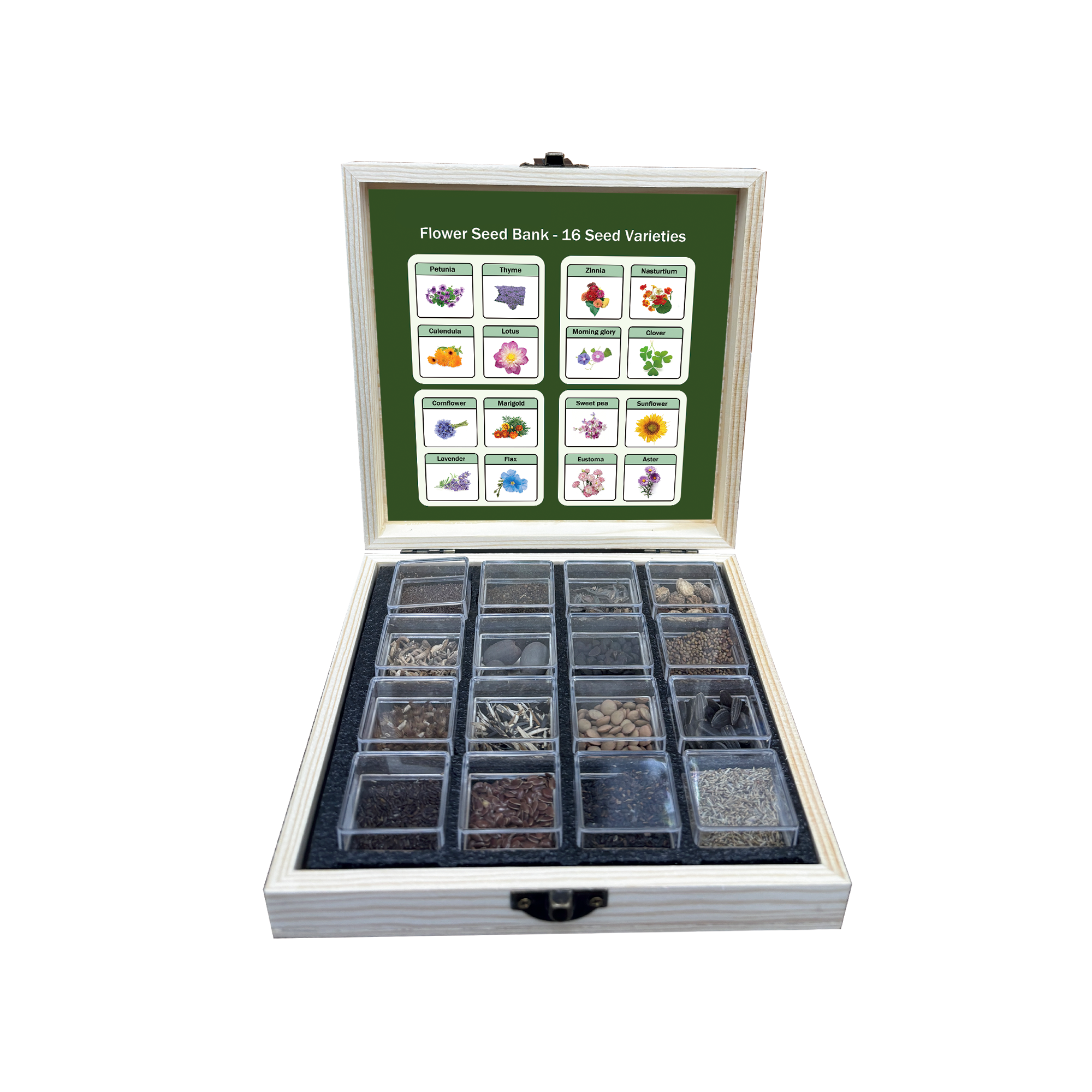 Banco de Semillas de Flores Todo en Uno - 16 Variedades de Semillas