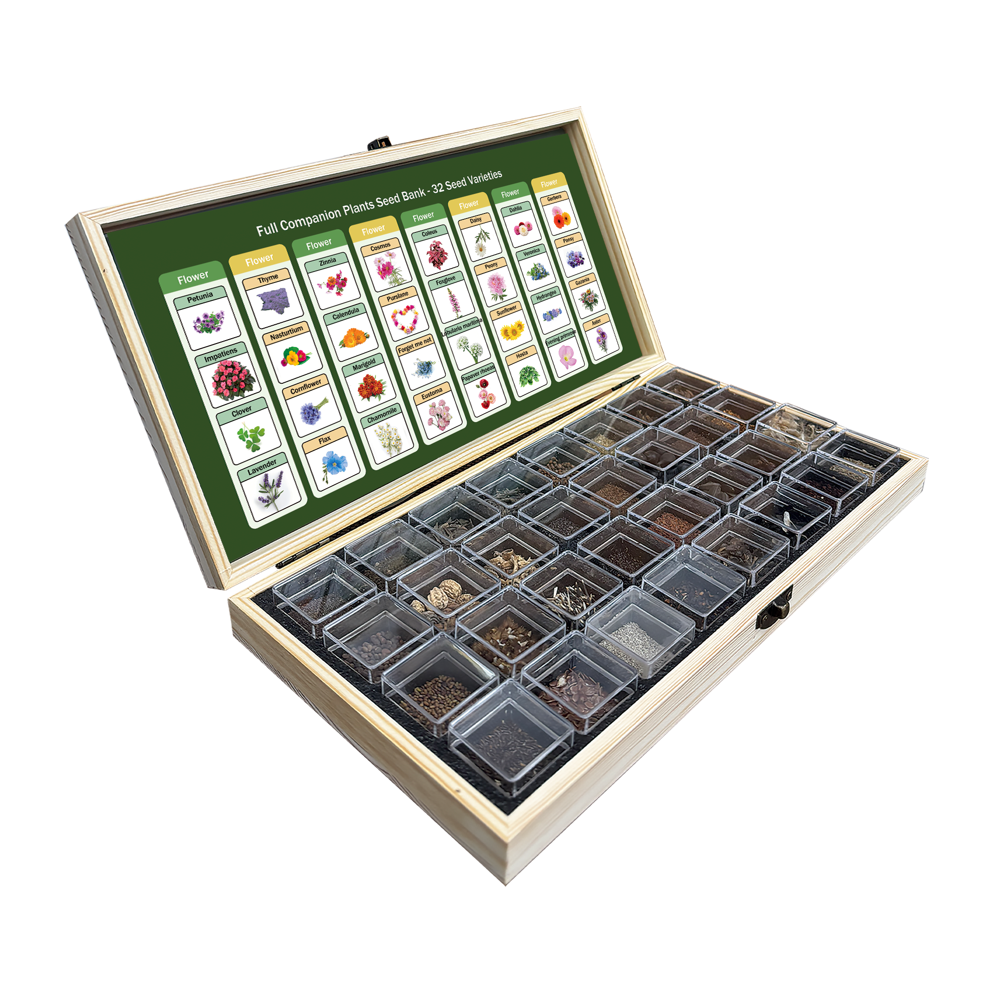 Banco de Semillas de Flores Todo en Uno - 32 Variedades de Semillas