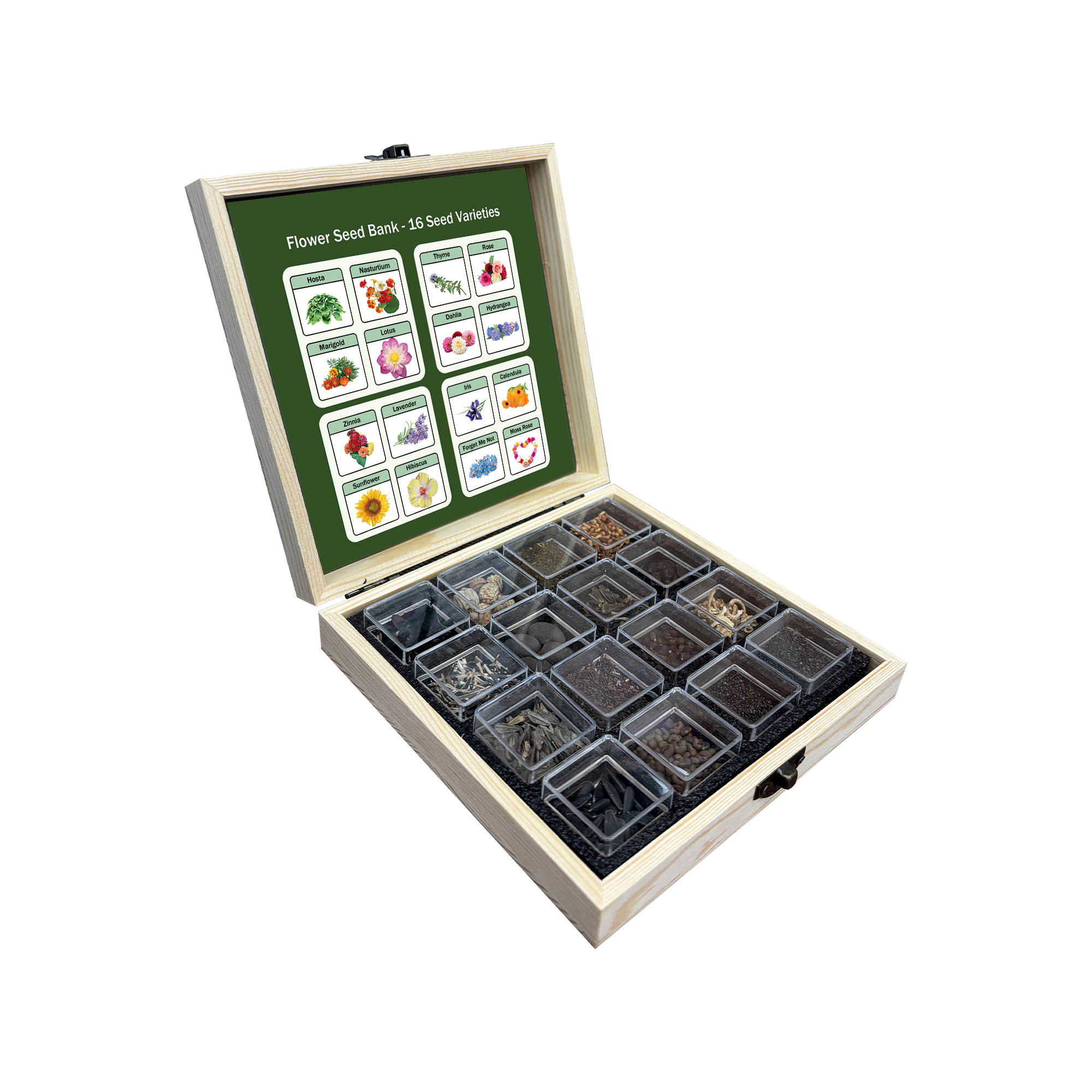 Banco de Semillas de Flores Todo en Uno - 16 Variedades de Semillas