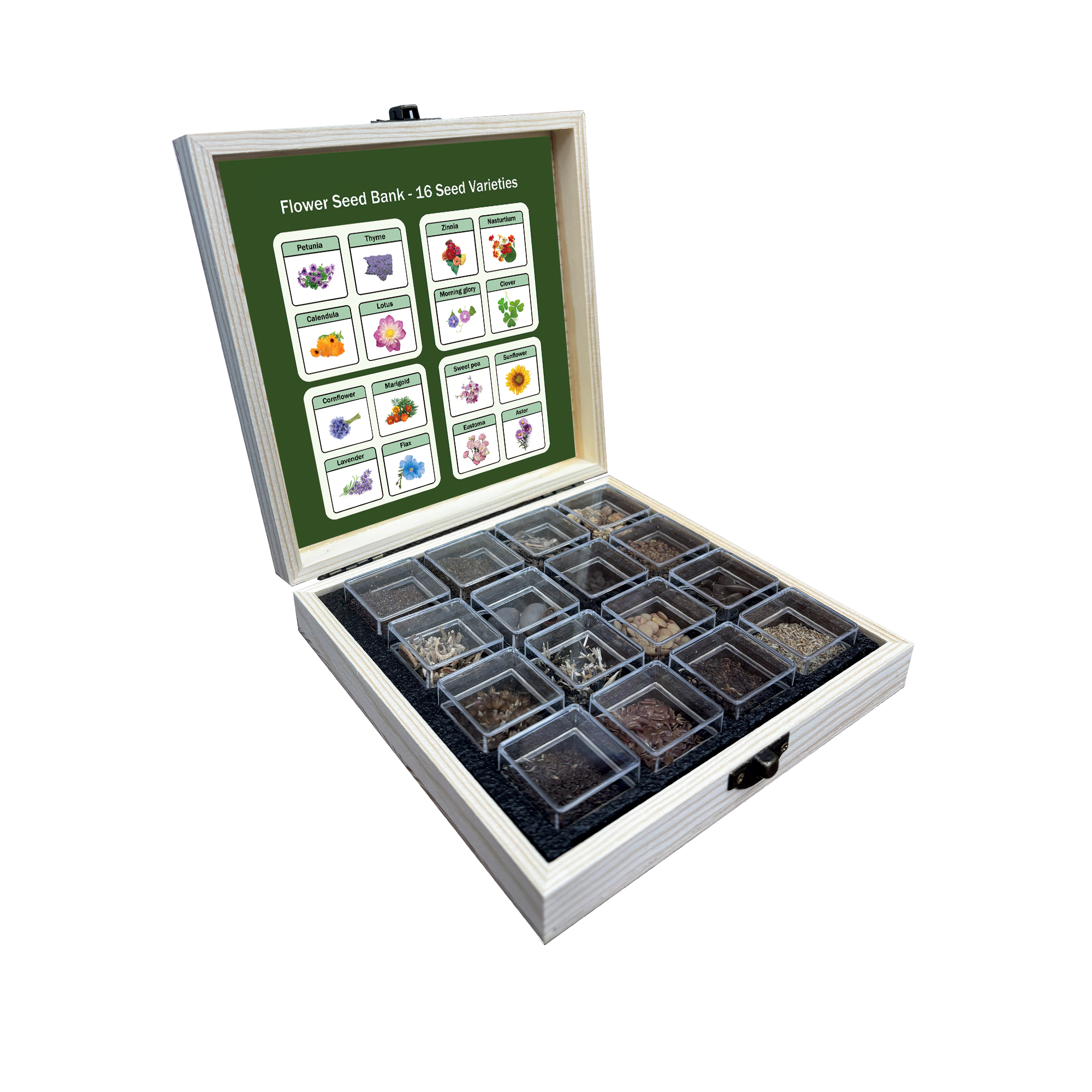 Banco de Semillas de Flores Todo en Uno - 16 Variedades de Semillas