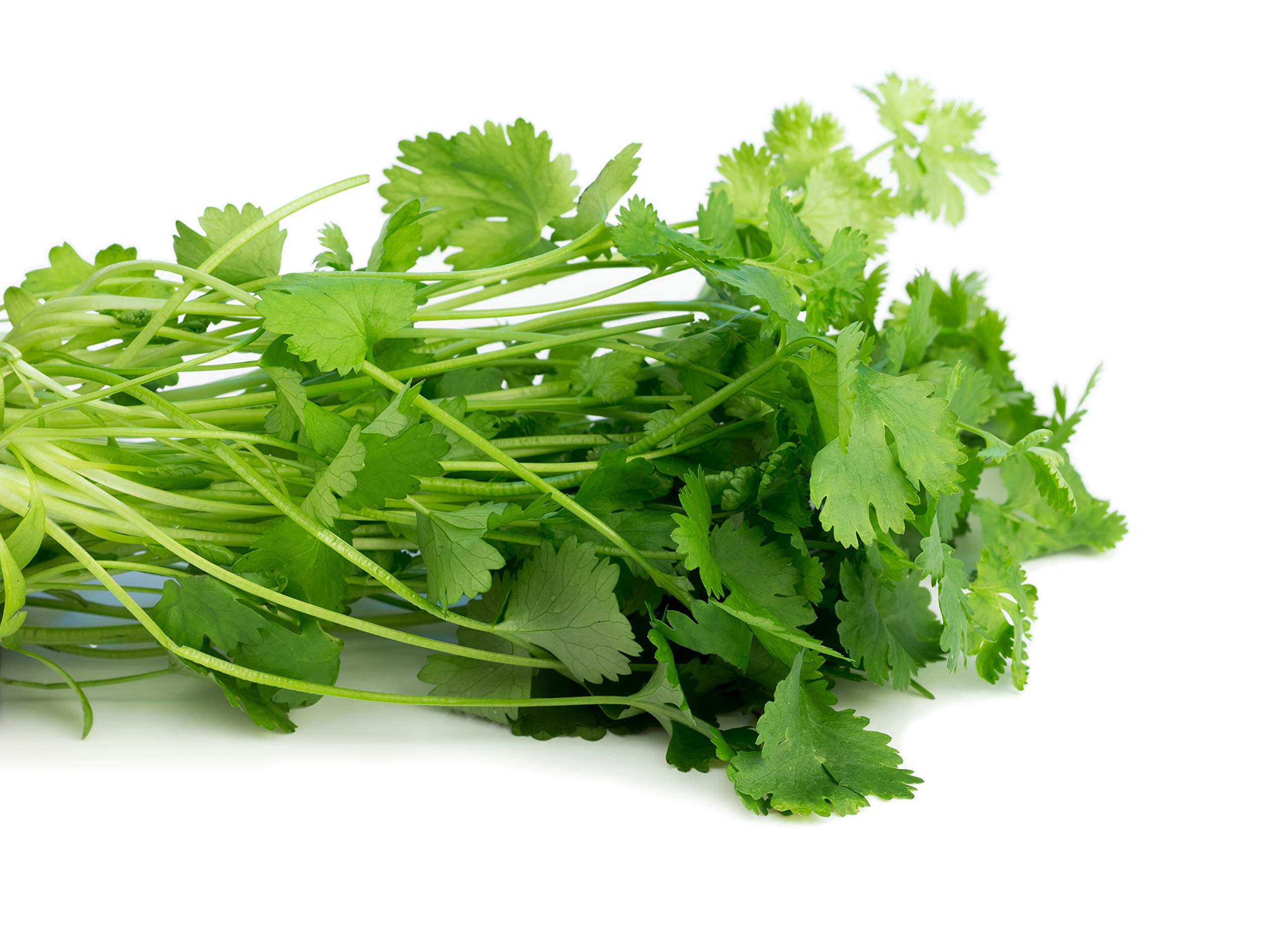 Langsam schießende Kräuter- und Gemüsesamen – Premiumqualität, hoher Ertrag, ideal für verlängerte Erntezeit