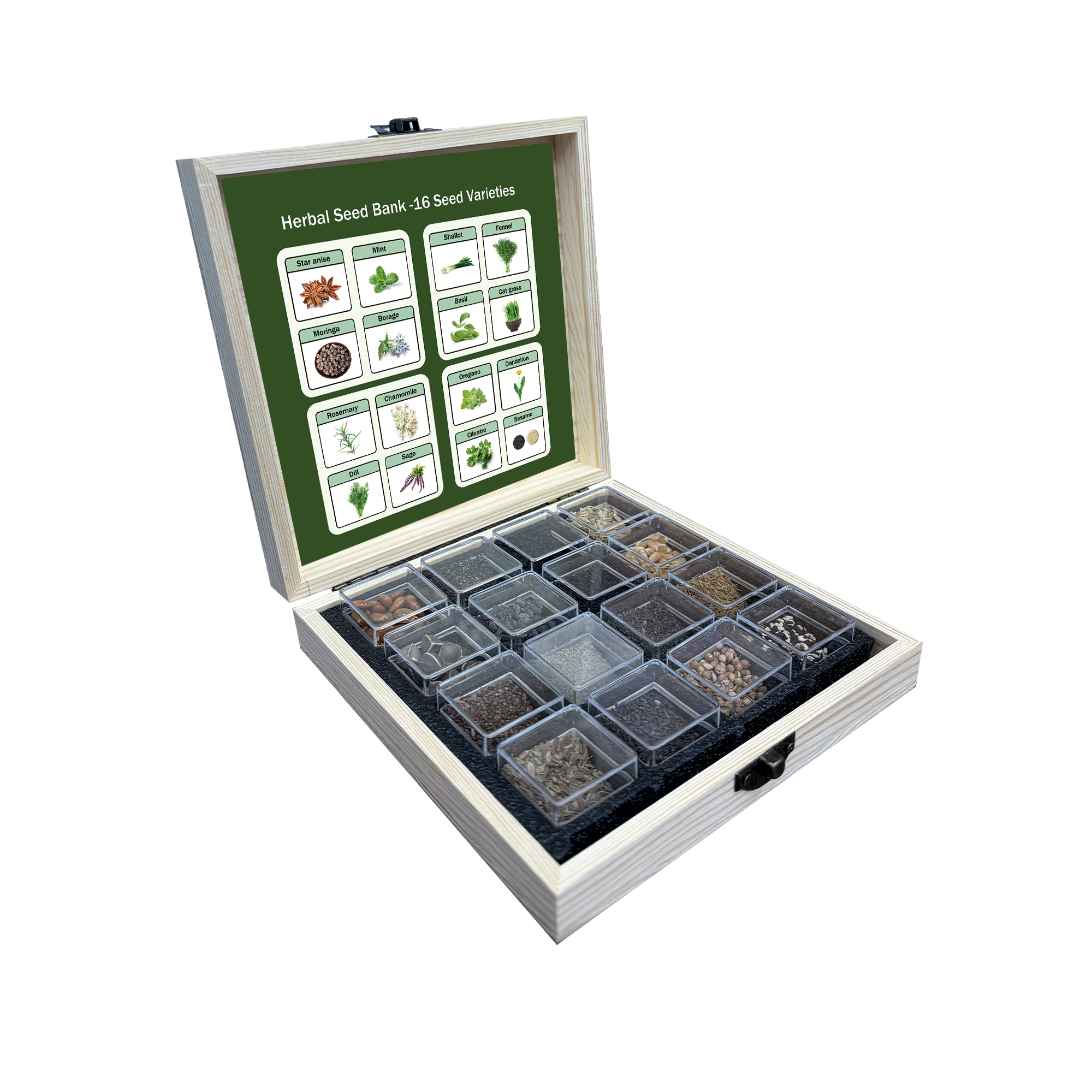 Banco de Semillas de Hierbas Todo en Uno - 16 Variedades de Semillas