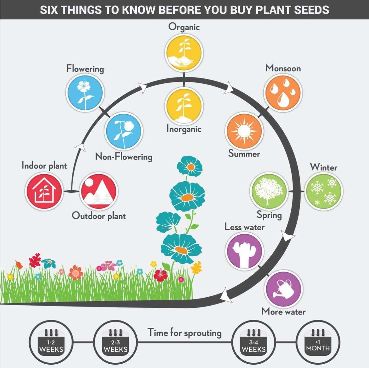 Semillas de flor de rosa amarilla para plantar, semillas de alta calidad para flores amarillas vibrantes