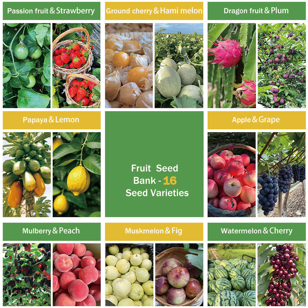 Banco de Semillas de Frutas Todo en Uno - 16 Variedades de Semillas