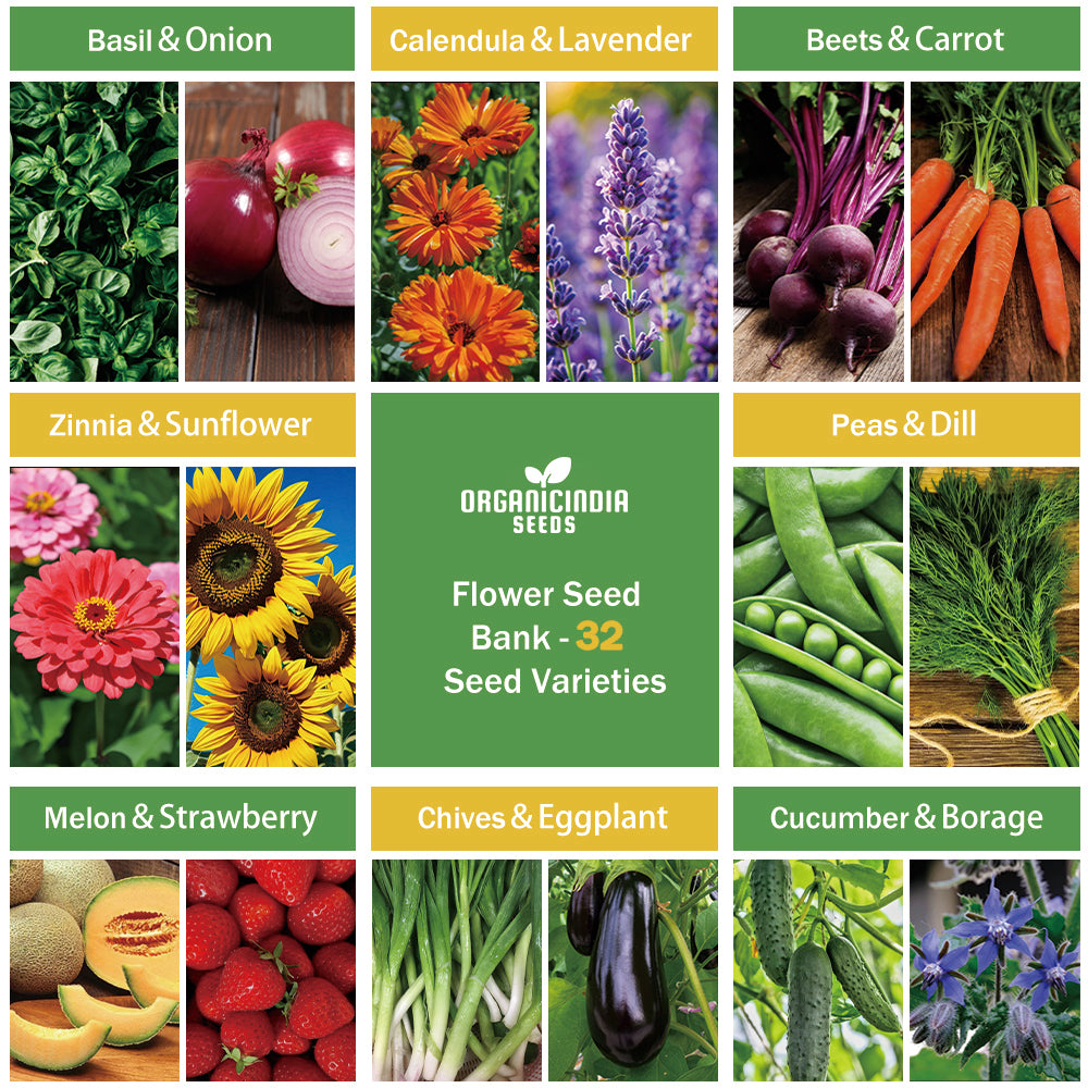 Banco de Semillas Mixtas Todo en Uno - 32 Variedades de Semillas