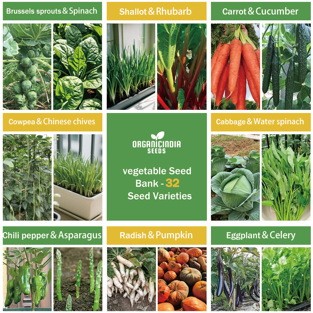 Banco de Semillas de Verduras Todo en Uno - 32 Variedades de Semillas