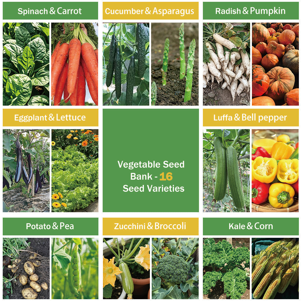 Banco de Semillas de Verduras Todo en Uno - 16 Variedades de Semillas