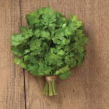 マリノ種子 植え付け用 – プレミアム品質の花の種 | オーガニック、非遺伝子組み換え、成長が早いガーデンシード