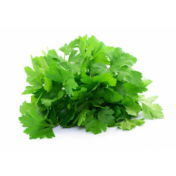 Gigante d’Italia Parsley Seeds – Premium Heirloom Herb for Flavorful Cooking & Gardening | Buy Organic Seeds Online