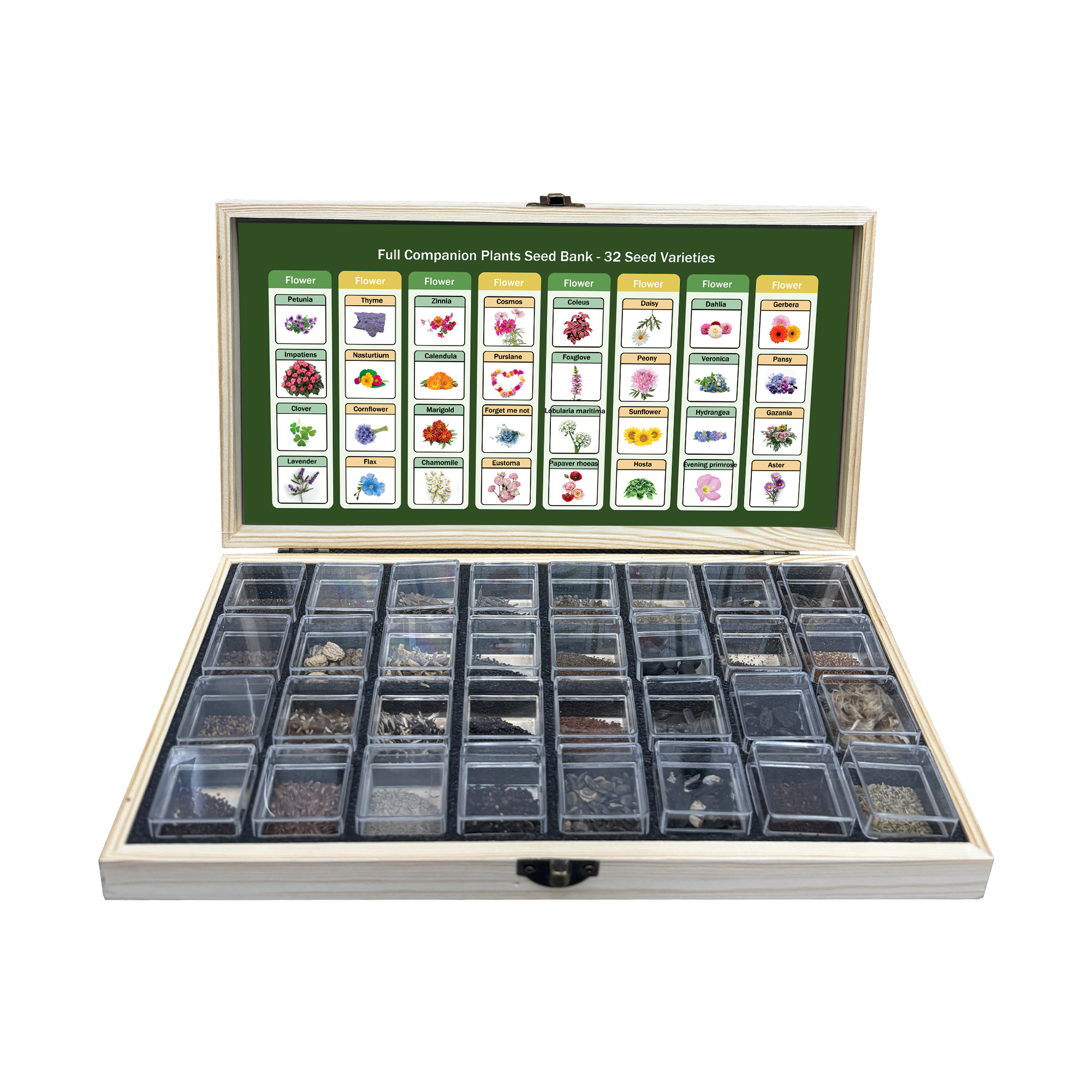 Banco de Semillas de Flores Todo en Uno - 32 Variedades de Semillas
