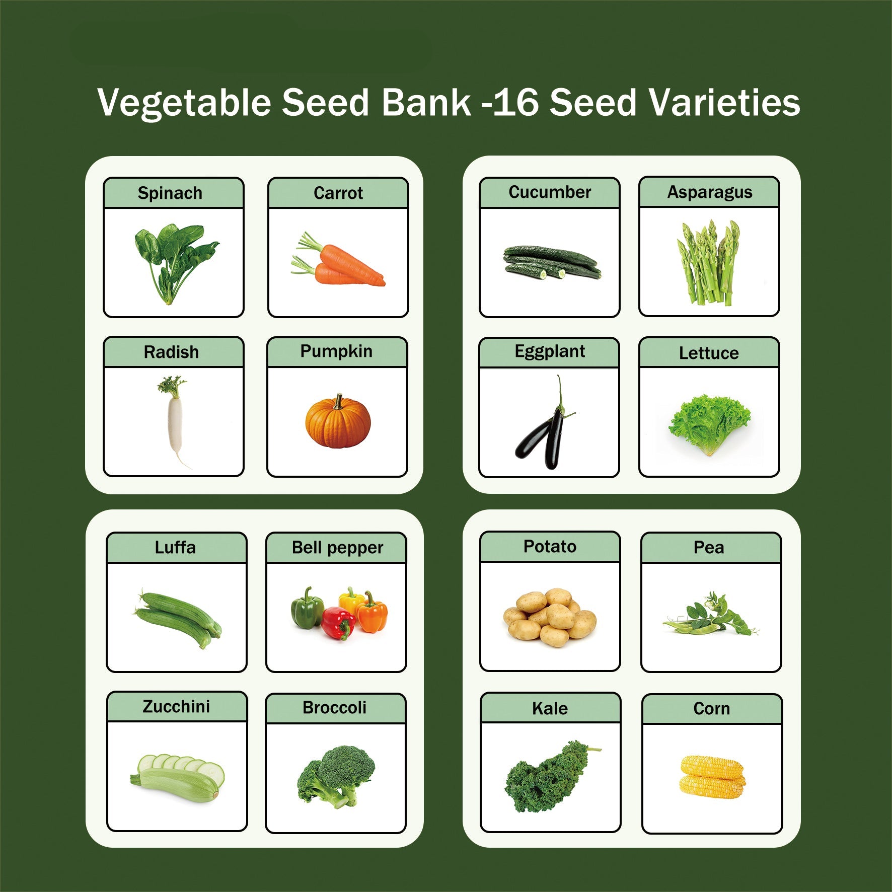 Banco de Semillas de Verduras Todo en Uno - 16 Variedades de Semillas