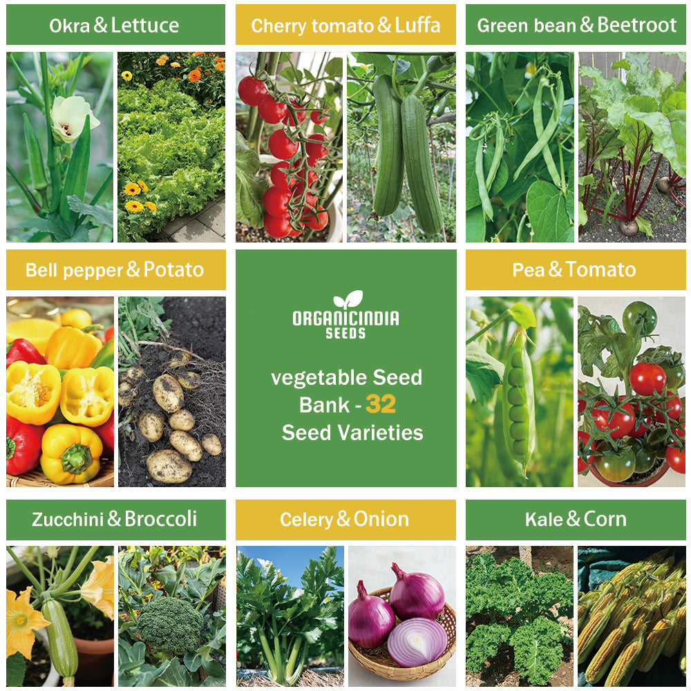 Banco de Semillas de Verduras Todo en Uno - 32 Variedades de Semillas