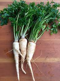 Wurzel-Petersiliensamen – Erbstücksorte, Premiumqualität, Ideal für kulinarische und Gartenpflanzung