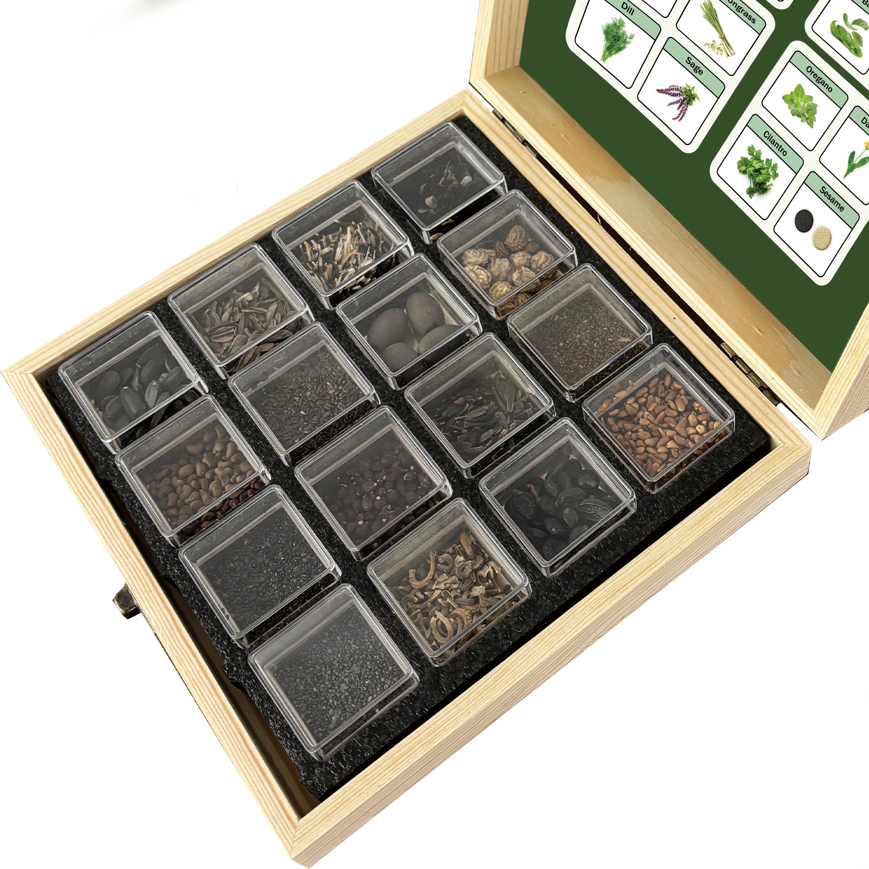 Banco de Semillas de Hierbas Todo en Uno - 16 Variedades de Semillas