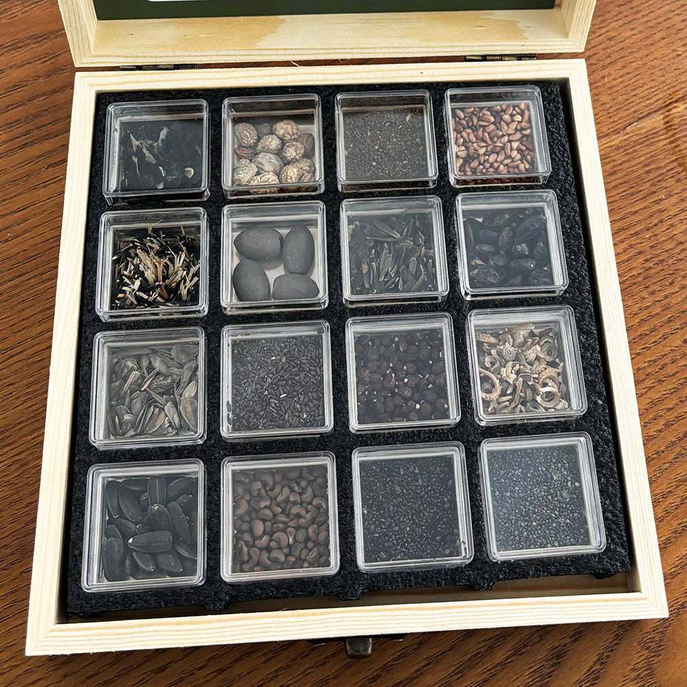 Banco de Semillas de Flores Todo en Uno - 16 Variedades de Semillas