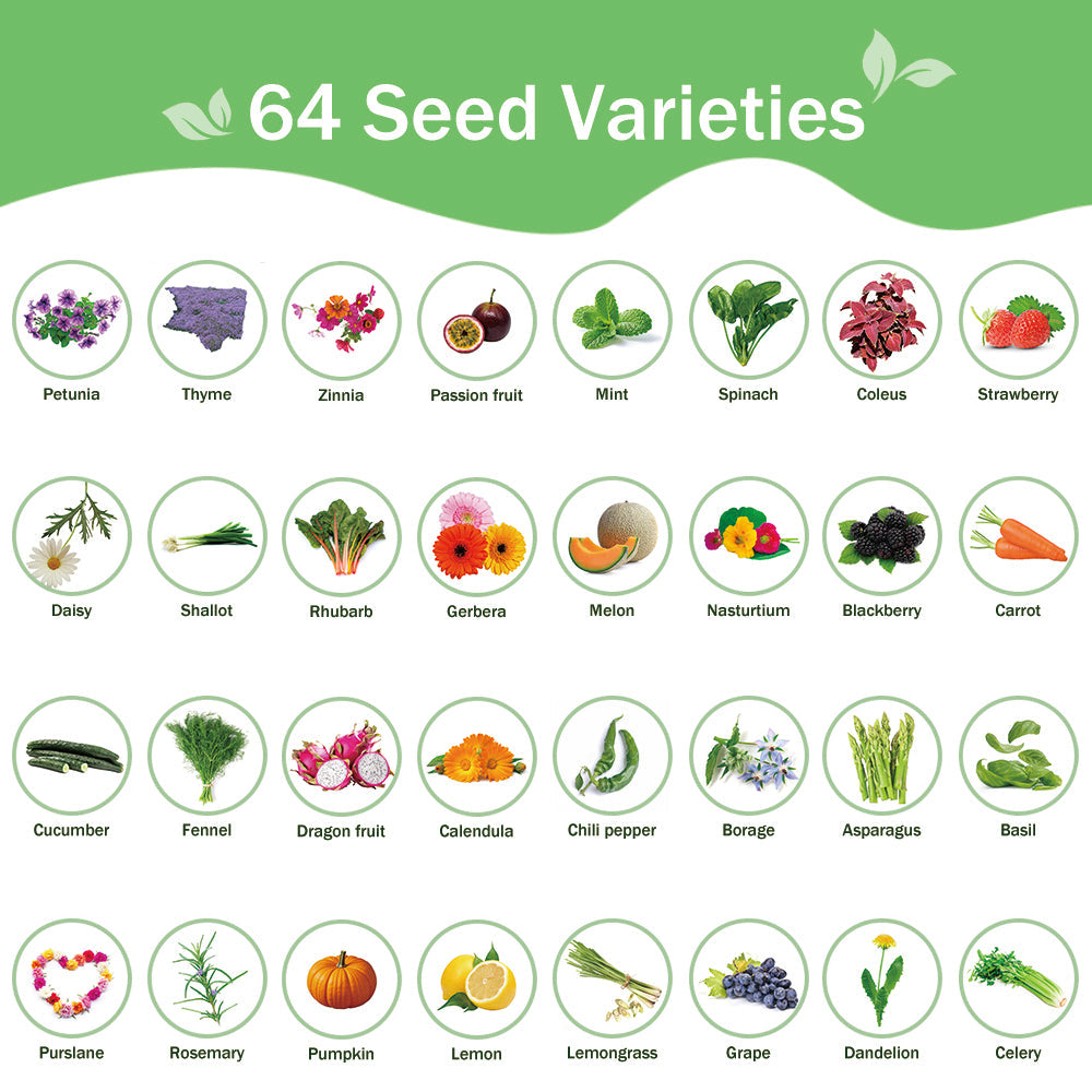 Banco de Semillas Todo en Uno para Jardín – 64 Variedades de Semillas (Flores, Hierbas, Verduras, Frutas)