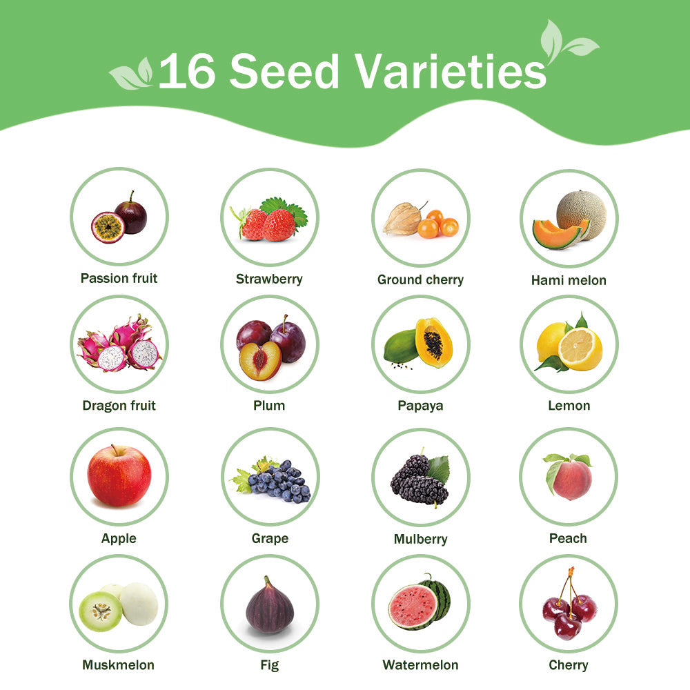 Banco de Semillas de Frutas Todo en Uno - 16 Variedades de Semillas
