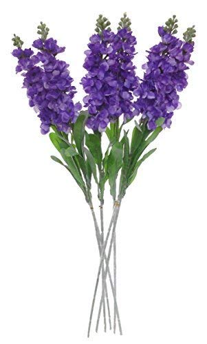 Purple Snapdragon Flower Seeds – Vibrant & Hardy Blooms for Your Garden