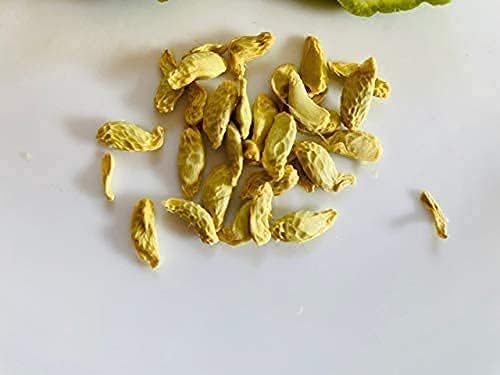 カフィアライムの木の種子(植え付け用)–開花および結実品種、品質保証