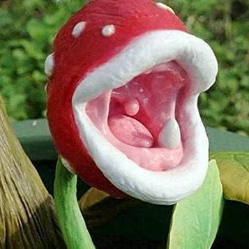 Verführerische fleischfressende Pflanzensamen, exotische Insektenfangwunder für einzigartige Gärten