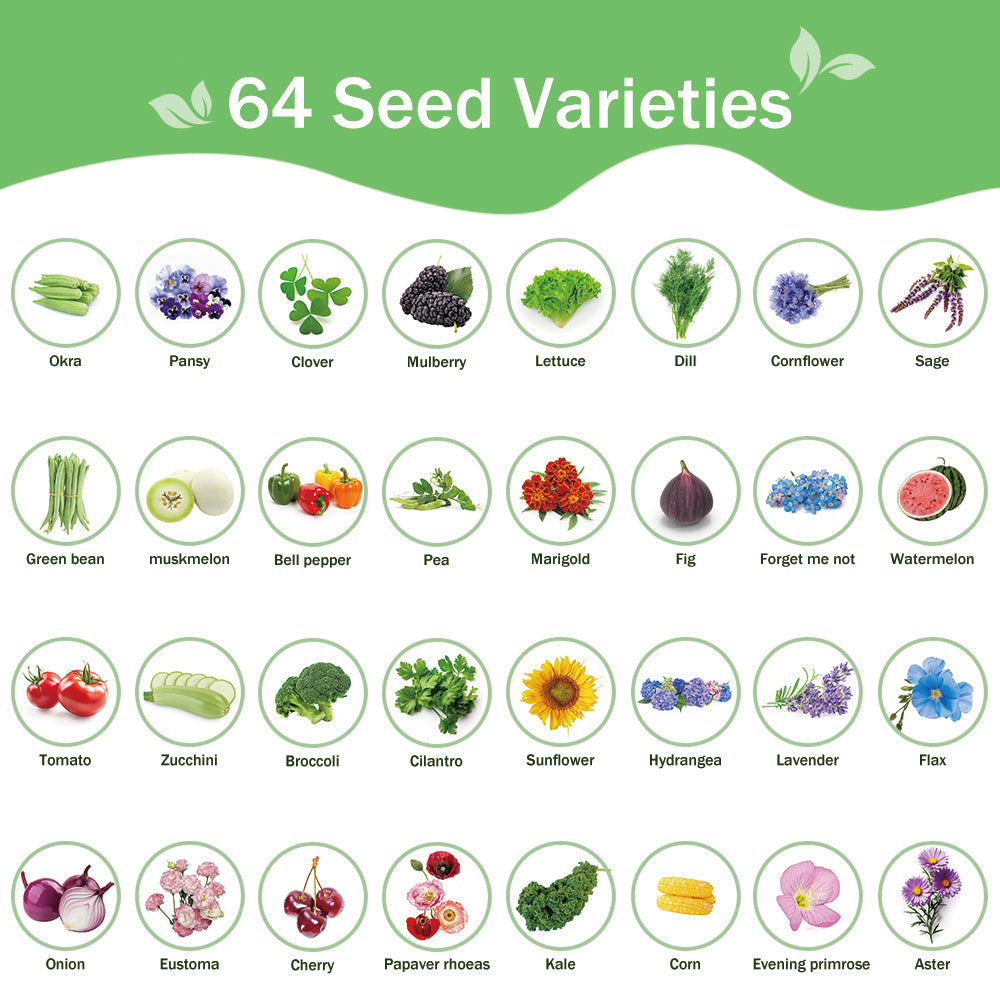 Banco de Semillas Todo en Uno para Jardín – 64 Variedades de Semillas (Flores, Hierbas, Verduras, Frutas)