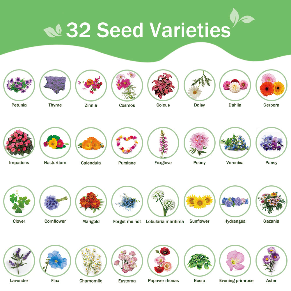 Banco de Semillas de Flores Todo en Uno - 32 Variedades de Semillas