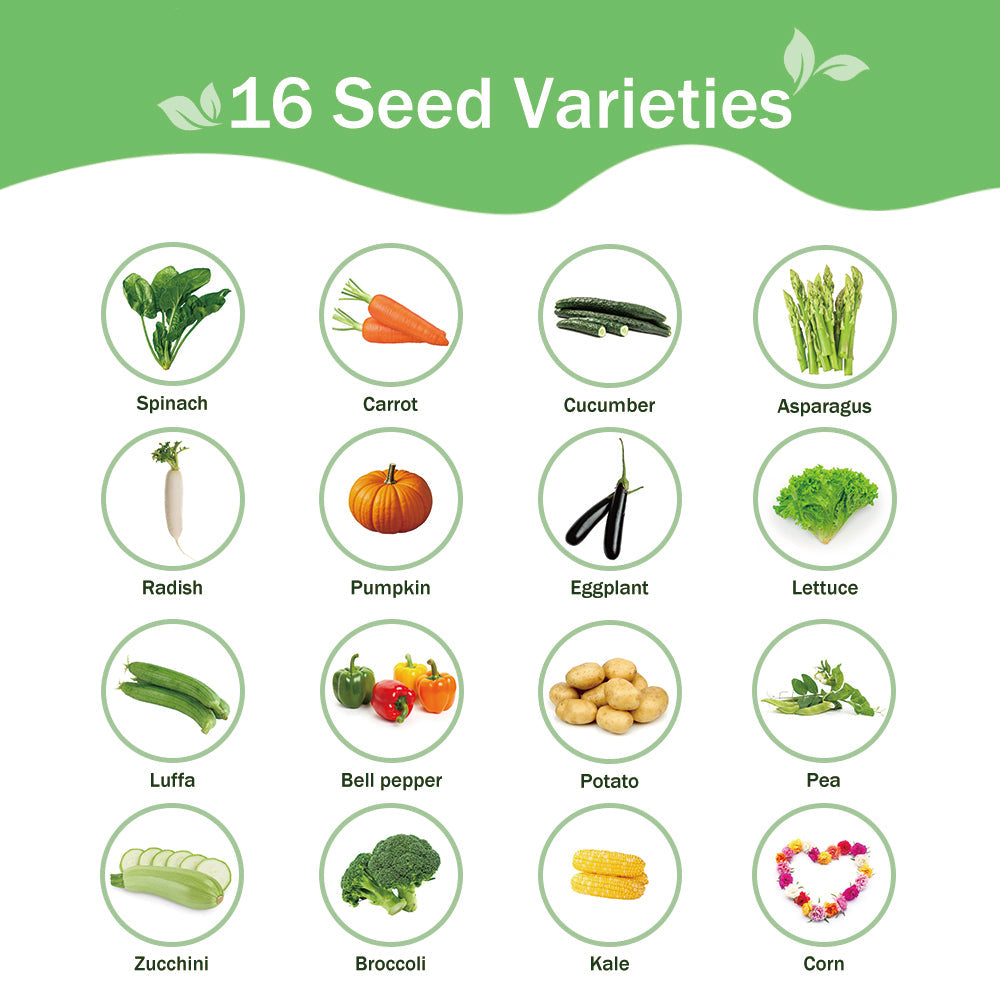 Banco de Semillas de Verduras Todo en Uno - 16 Variedades de Semillas