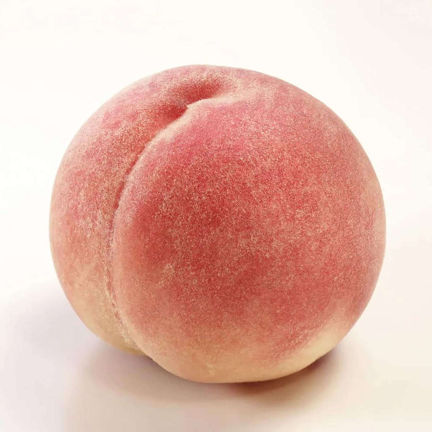 Semillas de árbol de durazno enano Semillas de árbol frutal libres de OGM para jardines pequeños, patios, balcones y cultivo en interiores