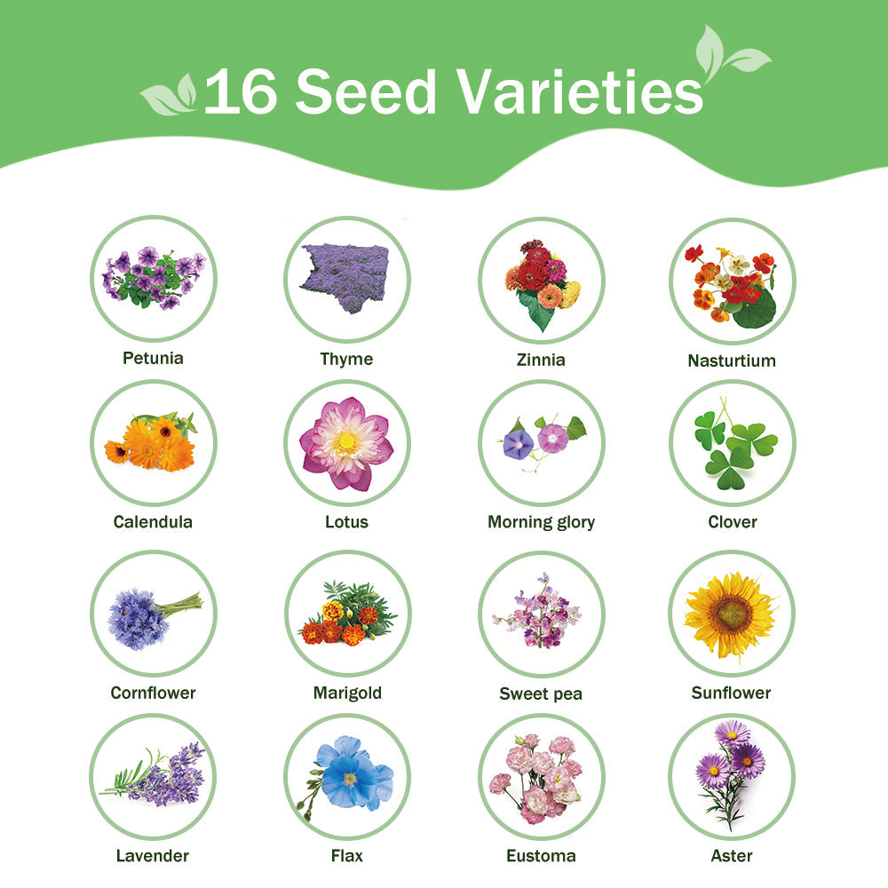 Banco de Semillas de Flores Todo en Uno - 16 Variedades de Semillas