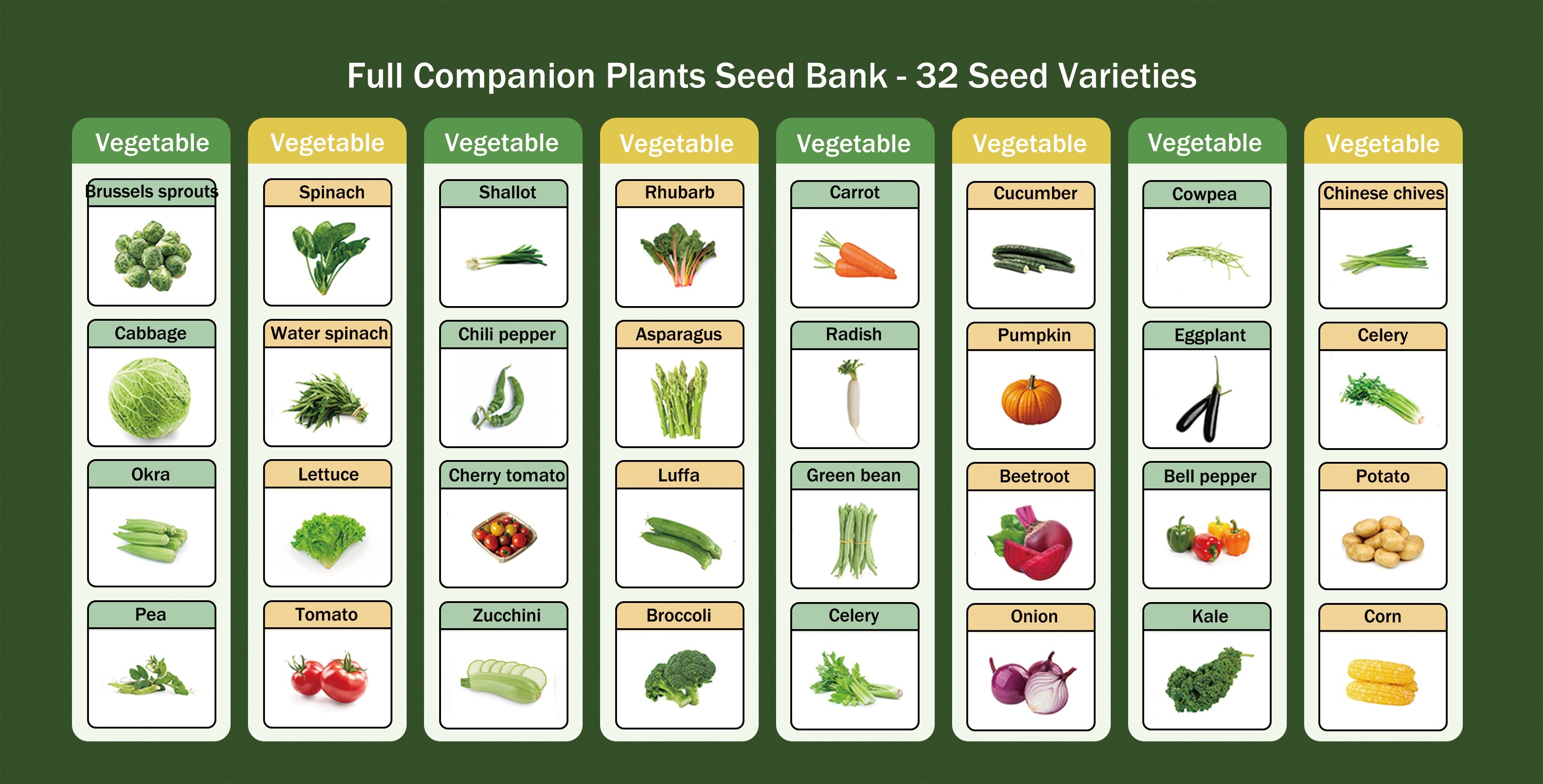 Banco de Semillas de Verduras Todo en Uno - 32 Variedades de Semillas