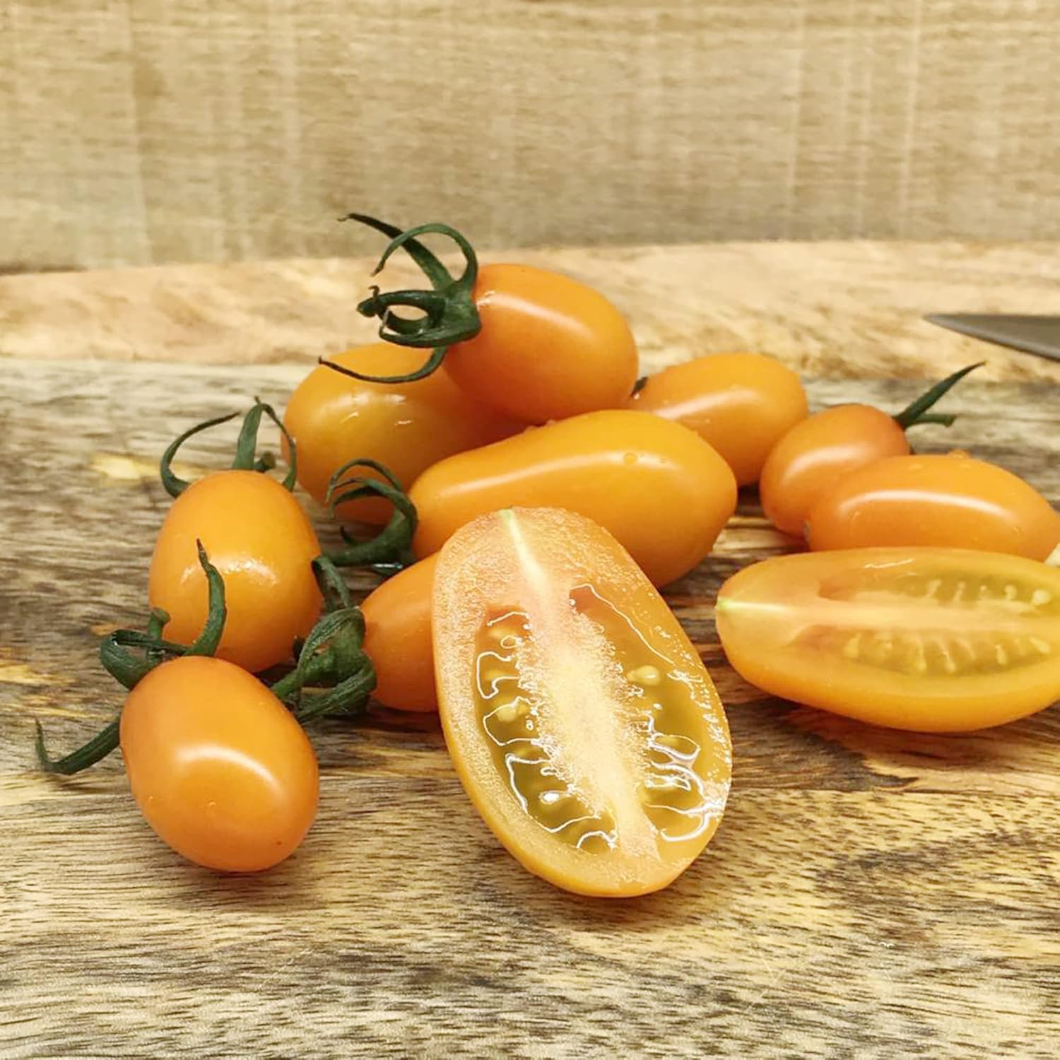 Semillas de Solanum (Tomate de Árbol) Arbusto Herbáceo Perennifolio, Autopolinizante, Frutas y Bayas para Patio Exterior