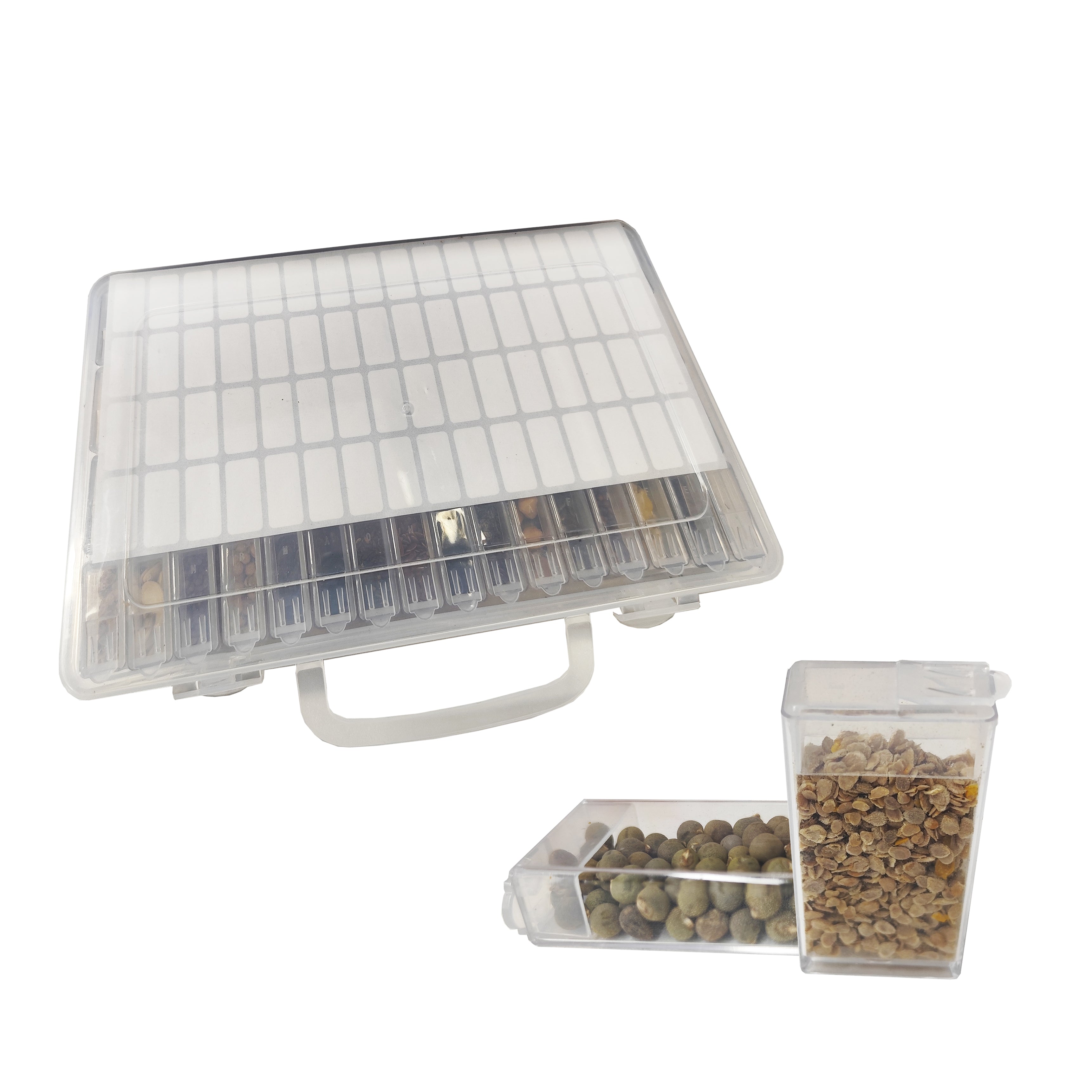 Banco de Semillas Todo en Uno para Jardín – 64 Variedades de Semillas (Flores, Hierbas, Verduras, Frutas)