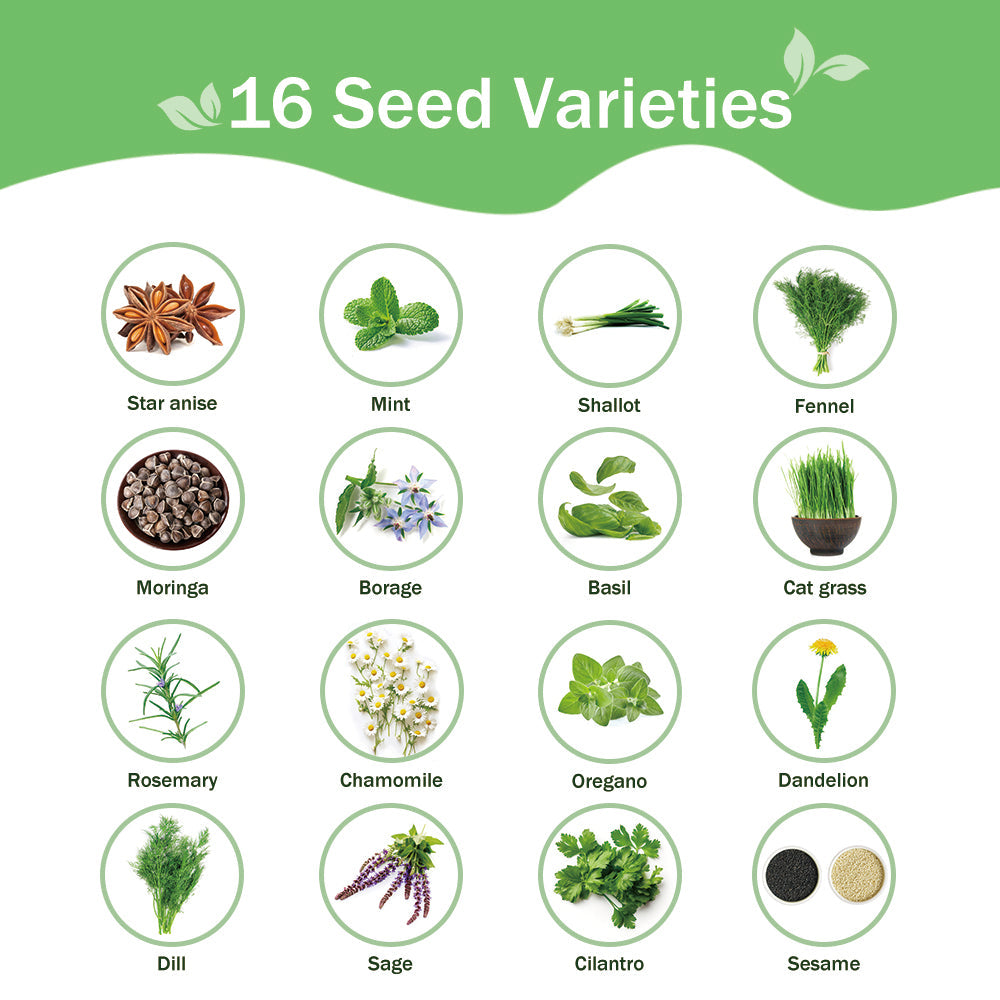 Banco de Semillas de Hierbas Todo en Uno - 16 Variedades de Semillas