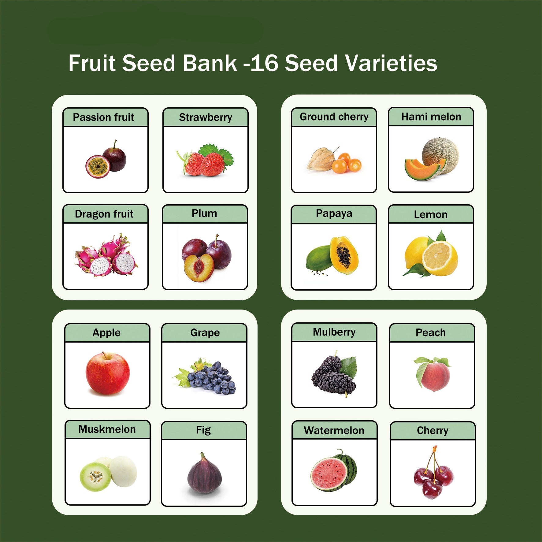 Banco de Semillas de Frutas Todo en Uno - 16 Variedades de Semillas