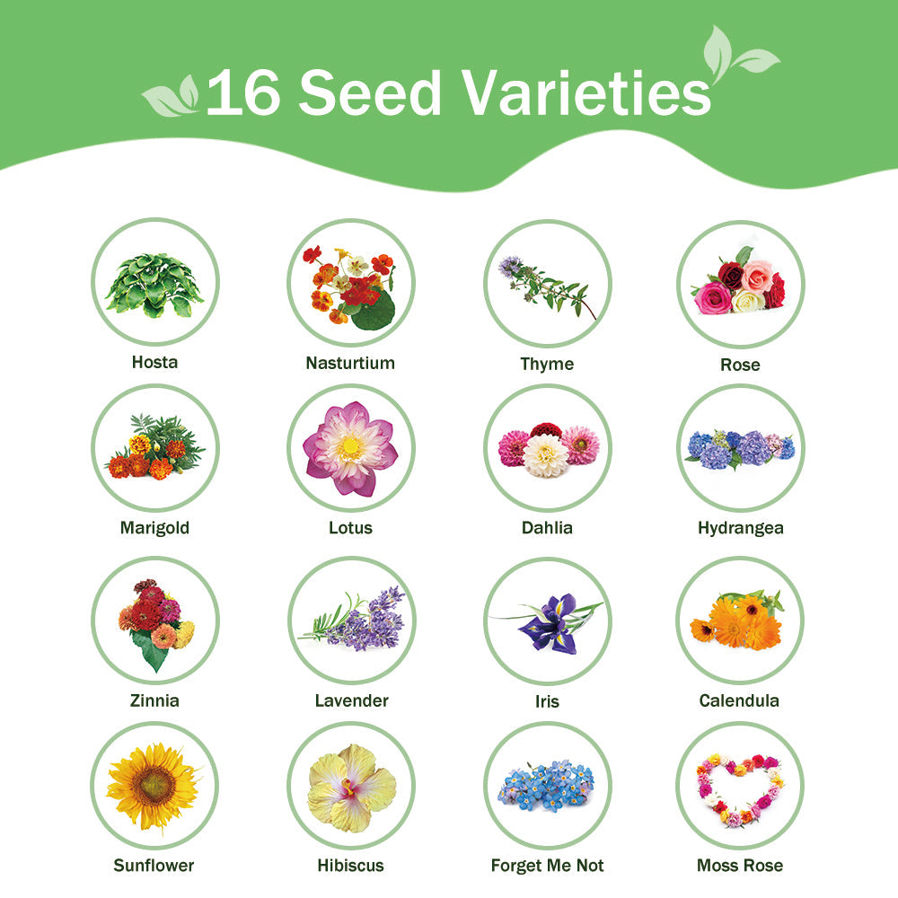 Banco de Semillas de Flores Todo en Uno - 16 Variedades de Semillas