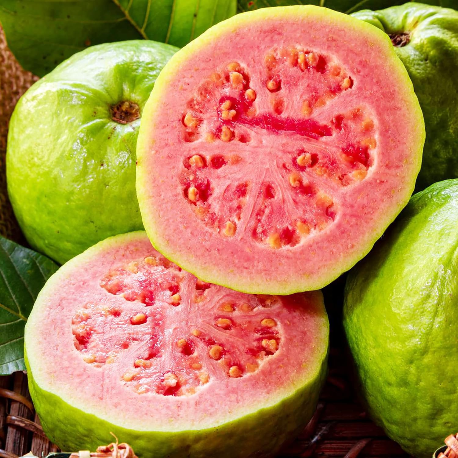 Guava Seeds - Red Psidium Guajava, Sweet Fragrant Tropical Fruit Seeds, Perennial – 50 Pcs