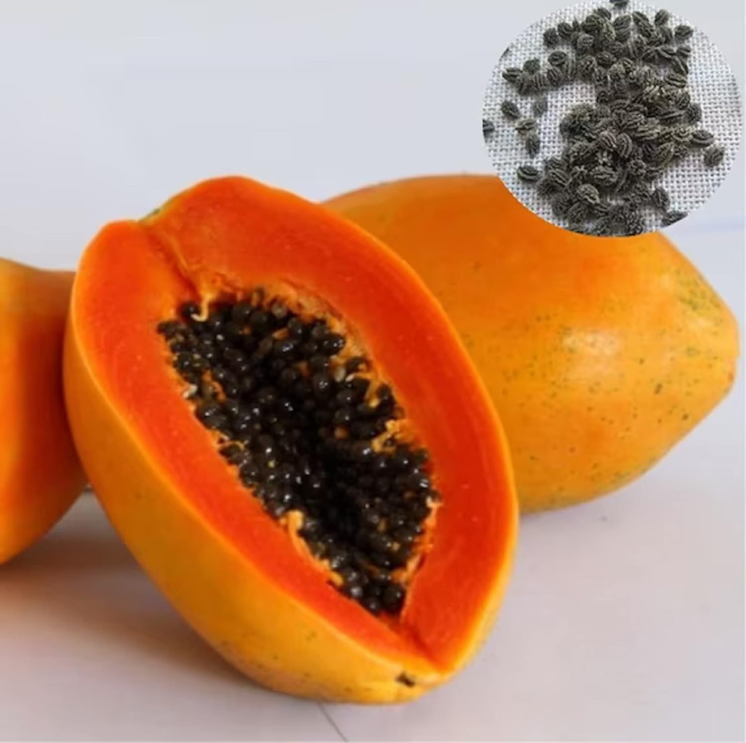Semi di papaya Eksotika per piantare – Frutto tropicale dolce ed esotico