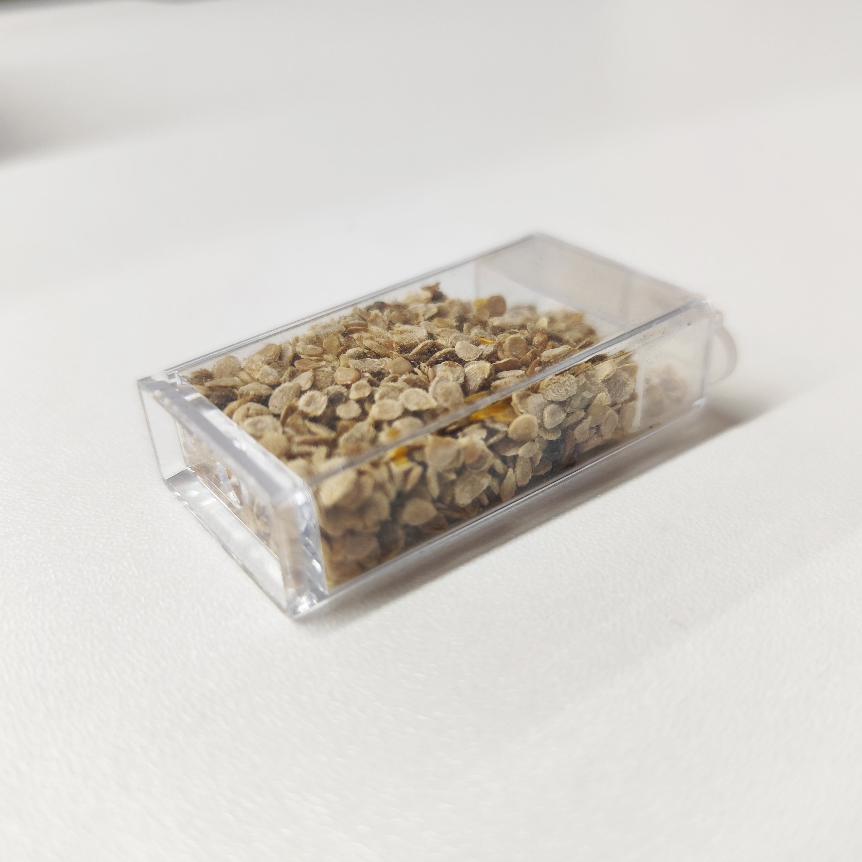 Banco de Semillas Todo en Uno para Jardín – 64 Variedades de Semillas (Flores, Hierbas, Verduras, Frutas)