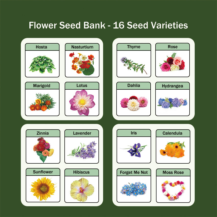 Banco de Semillas de Flores Todo en Uno - 16 Variedades de Semillas
