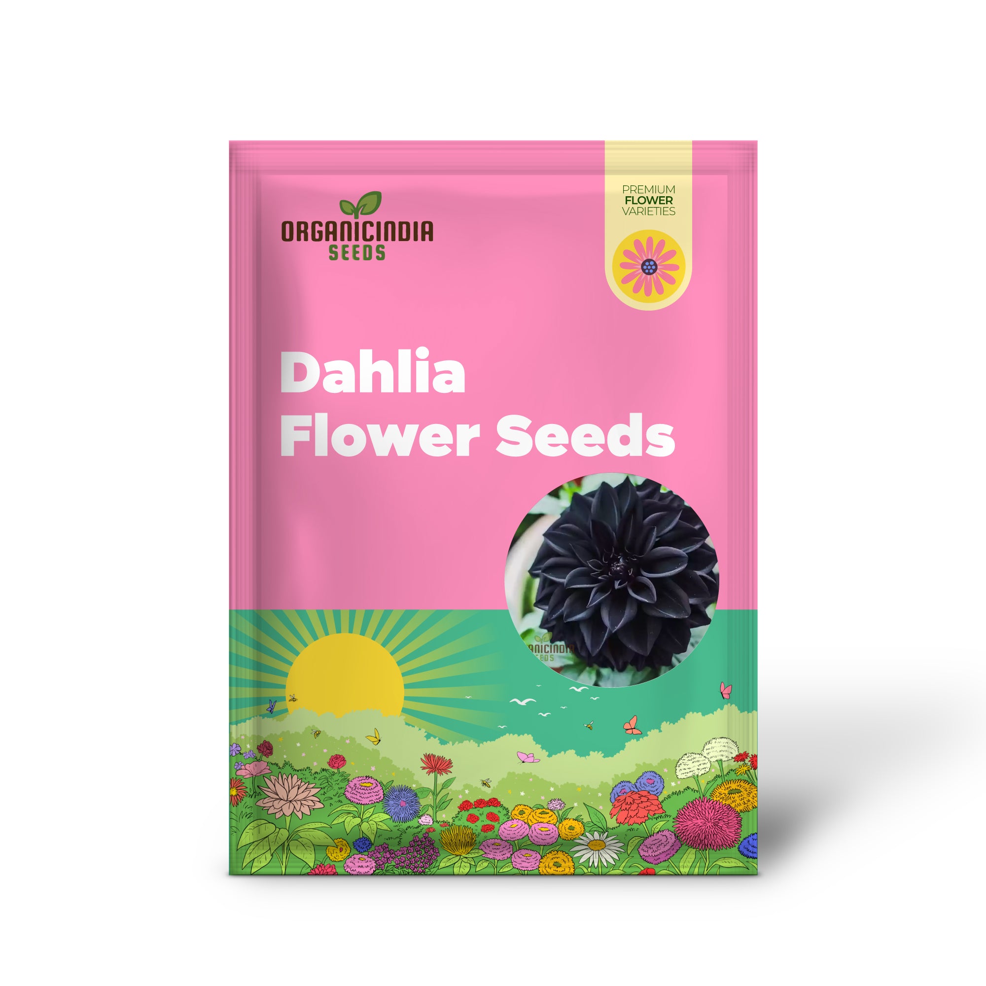 ダリアの花の種 外に植える用