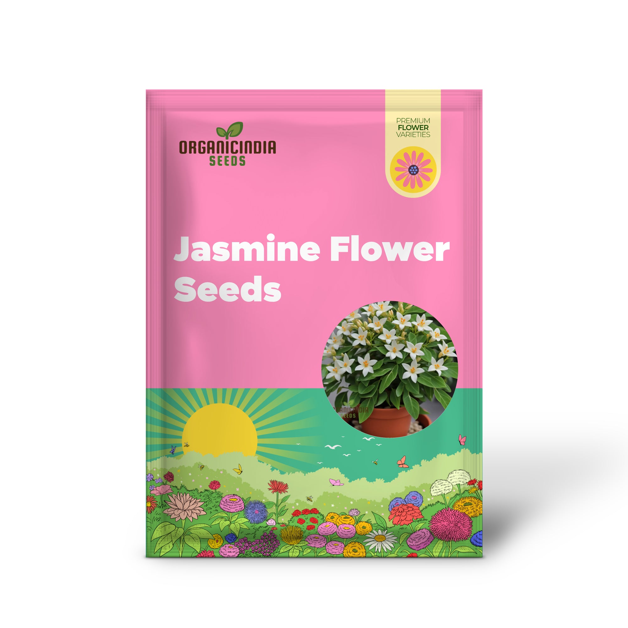 Coral Jasmine Flower Seeds for Planting - Fragrant Blooms for Tropical Garden Retreats