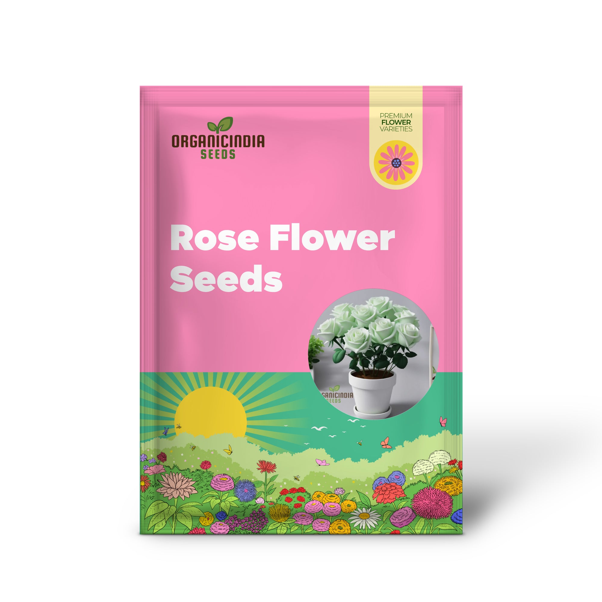 Graines de fleurs de rose blanche et verte – Fleurs élégantes avec une coloration unique pour votre jardin