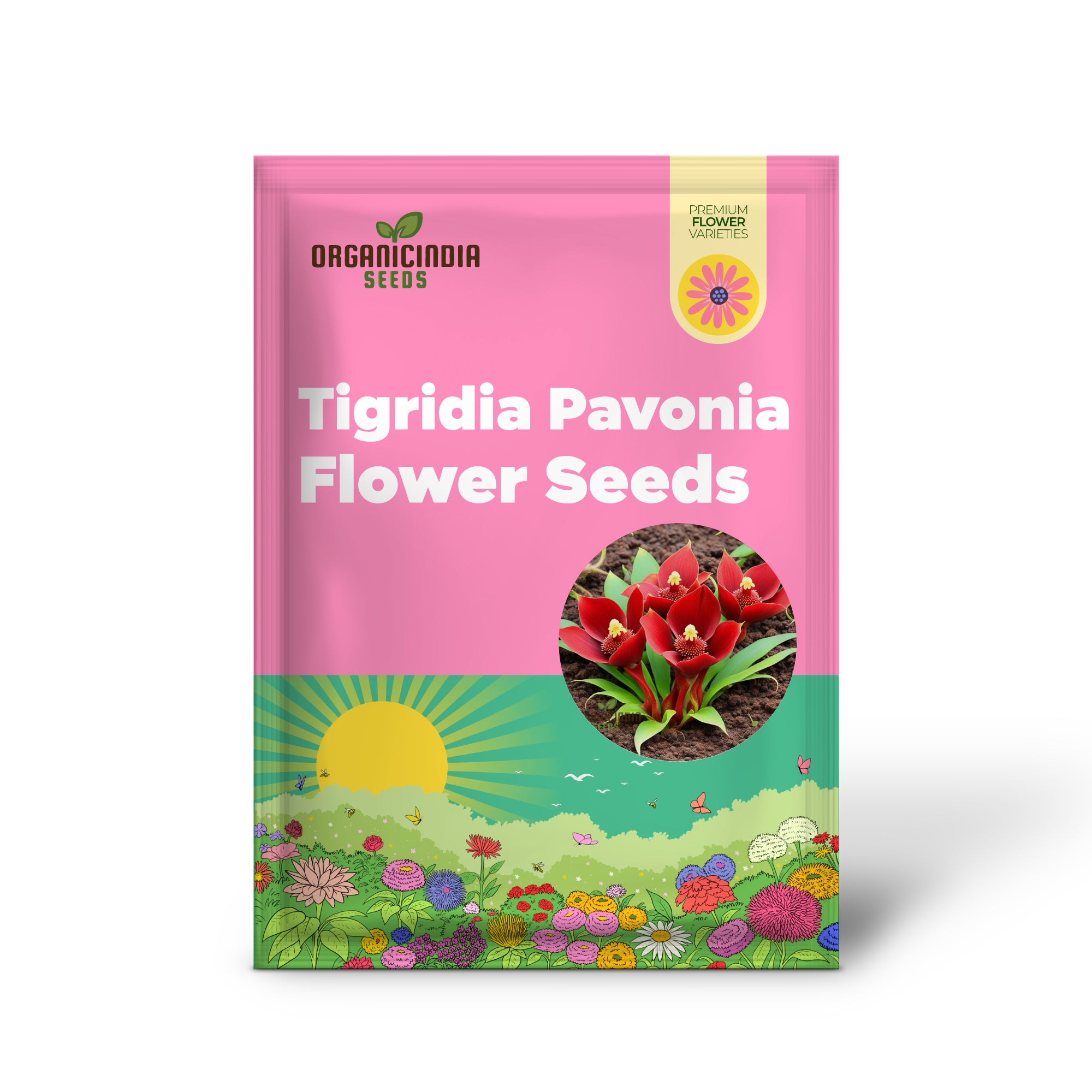 Semillas de flores Red Tigridia Pavonia, flores exóticas de jardín con semillas fáciles de cultivar para plantar