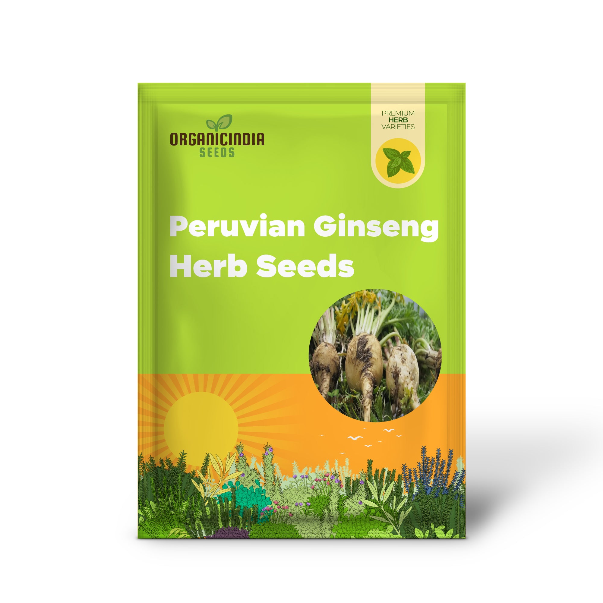 Potente ginseng peruano, cultiva vitalidad con semillas de hierba maca negra para plantar
