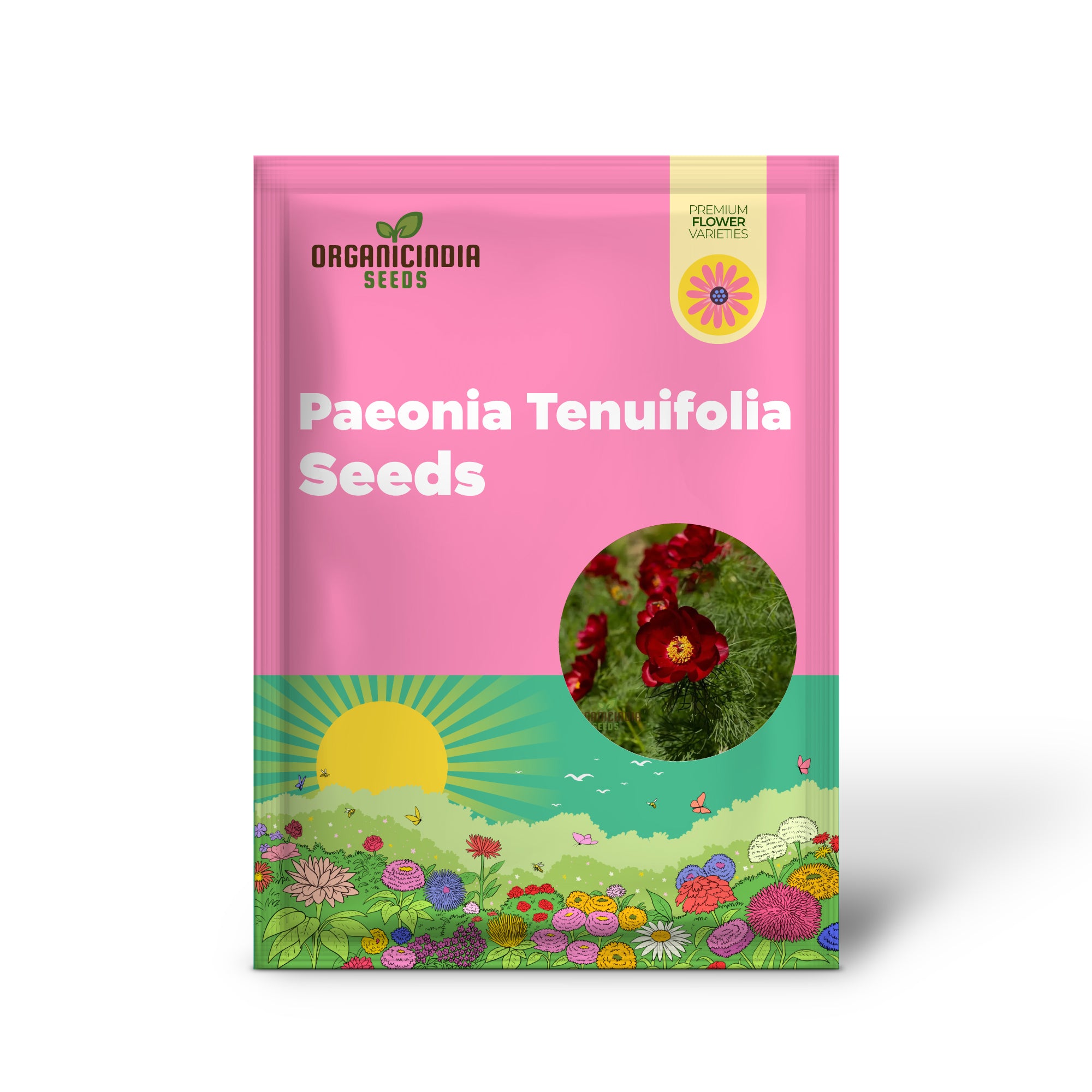 Semillas premium de Paeonia tenuifolia, semillas de peonía de hoja de helecho para plantación ornamental en jardín