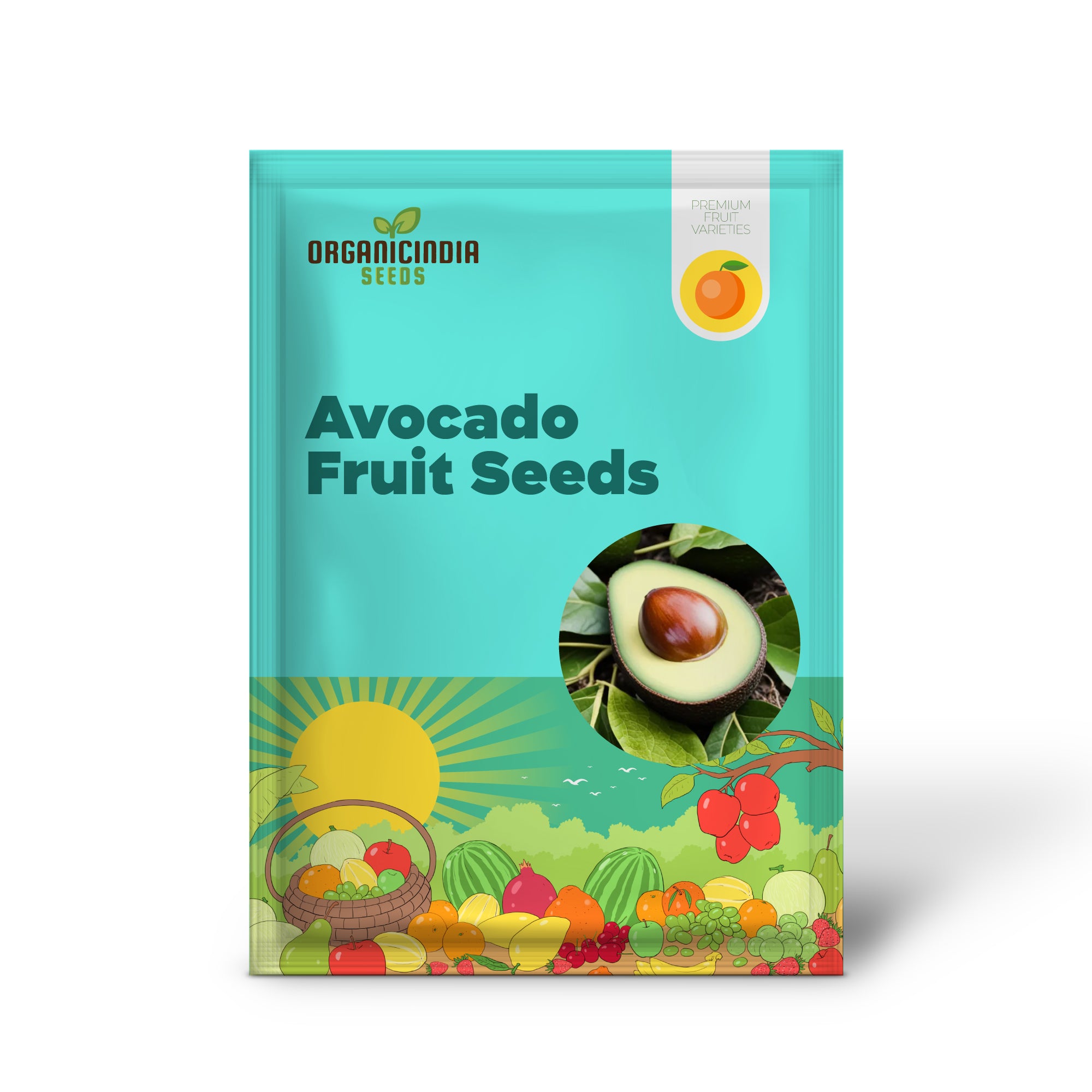 Graines d'avocat, graines de fruit à beurre pour la plantation, rare avocat Mexicola Grande Vert